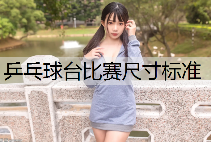 乒乓球台比赛尺寸标准