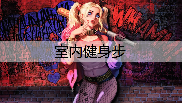 室内健身步 室内健身步